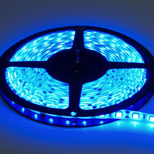 110-L5050-60B 5M 12V Blue 5050-60LED
