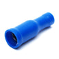 19-BF86 Female 156 Blue 16-14 bullet