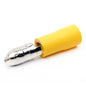19-BM84 Male 195 Yellow 12-10 bullet