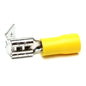 19-FT52 Yellow Female 250 #10-12 termi