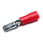 19-MT53 Male 187-8 Red 22-16 Terminal
