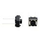 20-KAN651-531B Interruptor de tachuela 2P 6x6x5MM L15mm